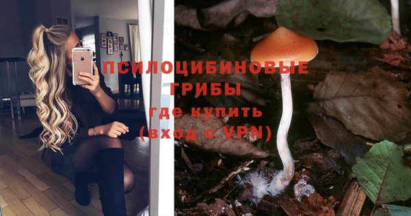 spice Алексин