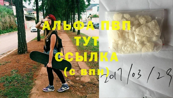 стафф Магас